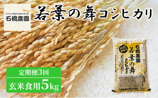 米 若葉の舞 コシヒカリ 玄米食用5Kg 定期便3回 こしひかり お米 玄米 定期便 千葉 千葉県 低温保存 [№5346-0790] 1430309 - 千葉県千葉市