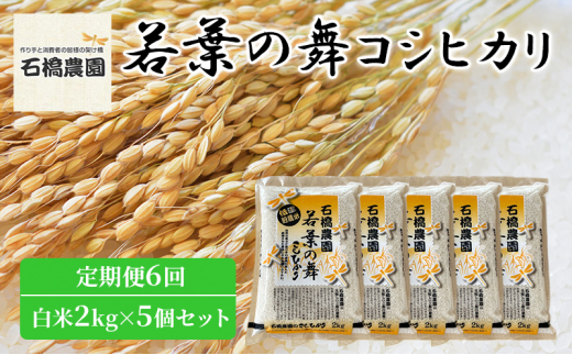 米 若葉の舞 コシヒカリ 白米2Kg×5個セット 定期便6回 こしひかり セット 定期便 お米 白米 精米 千葉 千葉県 低温保存 [№5346-0860] 1430378 - 千葉県千葉市