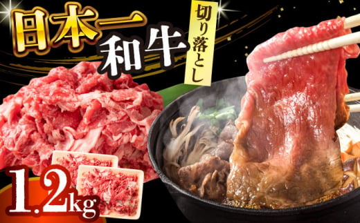 【A4～A5】長崎和牛切り落とし　1.2kg(600g×2p）【株式会社 MEAT PLUS】 [DBS007] 1429825 - 長崎県小値賀町