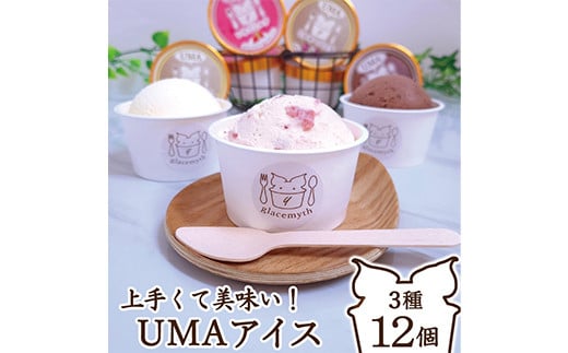 スイーツ専門店の作るこだわりアイスクリームセット バニラ いちご チョコ 各4個 90ml入り 12個セット TY0-0683 1187557 - 岡山県津山市