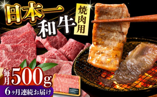 【全6回定期便】【A4～A5】長崎和牛焼肉用　500g【株式会社 MEAT PLUS】 [DBS035] 1429829 - 長崎県小値賀町