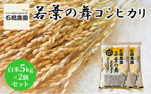 米 若葉の舞 コシヒカリ 白米5Kg×2個セット こしひかり セット お米 白米 精米 千葉 千葉県 低温保存 [№5346-0826] 1430344 - 千葉県千葉市