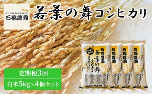 米 若葉の舞 コシヒカリ 白米5Kg×4個セット 定期便3回 こしひかり セット 定期便 お米 白米 精米 千葉 千葉県 低温保存 [№5346-0842] 1430360 - 千葉県千葉市