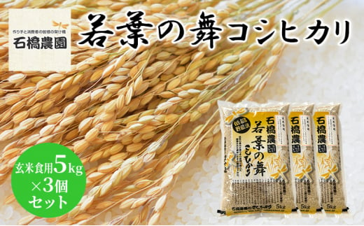 米 若葉の舞 コシヒカリ 玄米食用5Kg×3個セット こしひかり セット お米 玄米 千葉 千葉県 低温保存 [№5346-0834] 1430352 - 千葉県千葉市