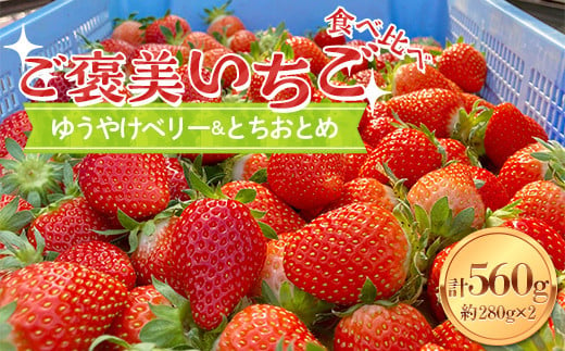 【ご褒美いちご】「ゆうやけベリー」「とちおとめ」の食べ比べセット 約280g×2パック F20C-987 1457528 - 福島県伊達市