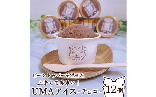 スイーツ専門店の作るこだわりアイスクリーム 12個セット チョコアイス 各90ml入り TY0-0685 1218407 - 岡山県津山市