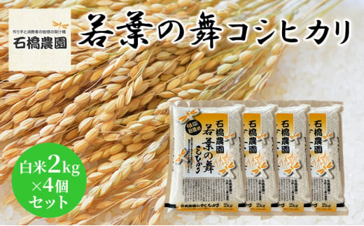 米 若葉の舞 コシヒカリ 白米2Kg×4個セット こしひかり セット お米 白米 精米 千葉 千葉県 低温保存 [№5346-0831] 1430349 - 千葉県千葉市