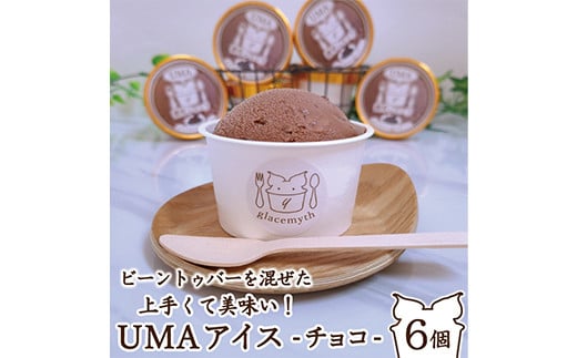 スイーツ専門店の作るこだわりアイスクリーム6個セット チョコアイス 各90ml入り TY0-0682 1141193 - 岡山県津山市