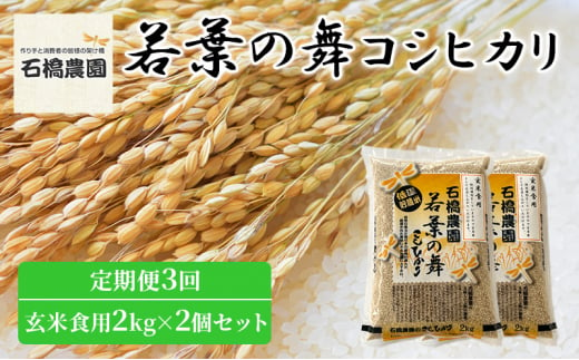 米 若葉の舞 コシヒカリ 玄米食用2Kg×2個セット 定期便3回 こしひかり セット 定期便 お米 玄米 千葉 千葉県 低温保存 [№5346-0850] 1430368 - 千葉県千葉市