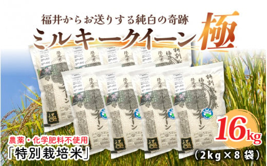 [先行予約][令和6年産・新米]お米の女王!農薬・化学肥料不使用 特別栽培米 ミルキークイーン極16kg (2kg × 8袋)(白米)[2024年10月中旬以降順次発送予定] [F-2909_01]