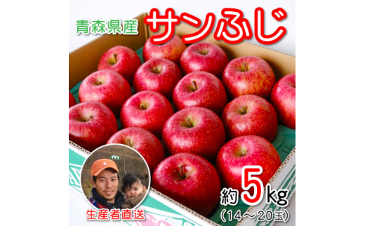 青森県産 産地直送!家庭用 サンふじ 約5kg【1387746】 813741 - 青森県青森市