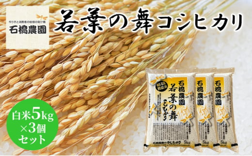 米 若葉の舞 コシヒカリ 白米5Kg×3個セット こしひかり セット お米 白米 精米 千葉 千葉県 低温保存 [№5346-0827] 1430345 - 千葉県千葉市