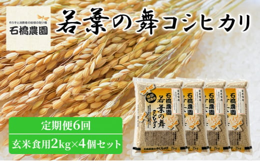 米 若葉の舞 コシヒカリ 玄米食用2Kg×4個セット 定期便6回 こしひかり セット 定期便 お米 玄米 千葉 千葉県 低温保存 [№5346-0866] 1430384 - 千葉県千葉市