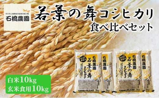 米 若葉の舞 コシヒカリ 白米10Kg玄米食用10Kg 食べ比べセット こしひかり お米 白米 玄米 セット 食べ比べ 精米 千葉 千葉県 低温保存 [№5346-0783] 1430302 - 千葉県千葉市