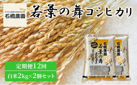 米 若葉の舞 コシヒカリ 白米2Kg×2個セット 定期便12回 こしひかり セット 定期便 お米 白米 精米 千葉 千葉県 低温保存 [№5346-0878] 1430396 - 千葉県千葉市