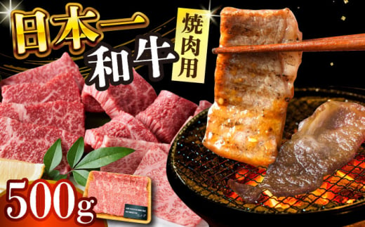 【A4～A5】長崎和牛焼肉用　500g【株式会社 MEAT PLUS】 [DBS001] 1429819 - 長崎県小値賀町