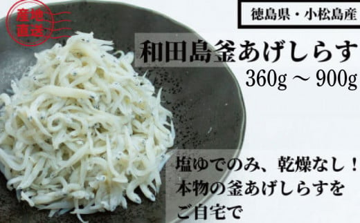 (容量が選べる) しらす 360g 〜 900g 「藤政」のとれたて和田島釜あげしらす 徳島県 小松島 海の幸 魚介 お取り寄せグルメ 冷蔵 ※北海道・沖縄・離島への配送不可