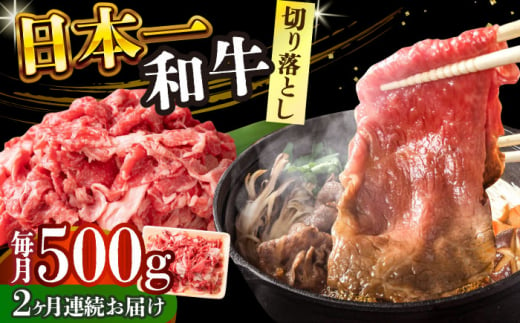 【全2回定期便】【A4～A5】長崎和牛切り落とし　500g【株式会社 MEAT PLUS】 [DBS049] 1429843 - 長崎県小値賀町