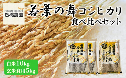 米 若葉の舞 コシヒカリ 白米10Kg玄米食用5Kg 食べ比べセット こしひかり お米 白米 玄米 セット 食べ比べ 精米 千葉 千葉県 低温保存 [№5346-0784] 1430303 - 千葉県千葉市