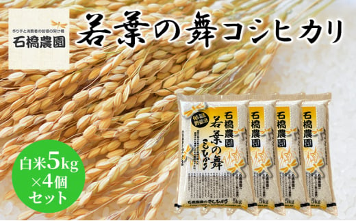 米 若葉の舞 コシヒカリ 白米5Kg×4個セット こしひかり セット お米 白米 精米 千葉 千葉県 低温保存 [№5346-0828] 1430346 - 千葉県千葉市