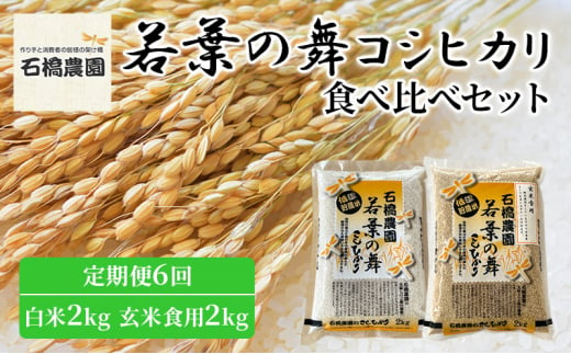 米 若葉の舞 コシヒカリ 白米2Kg玄米食用2Kg 食べ比べセット 定期便6回 こしひかり お米 白米 玄米 セット 食べ比べ 定期便 精米 千葉 千葉県 低温保存 [№5346-0807] 1430325 - 千葉県千葉市