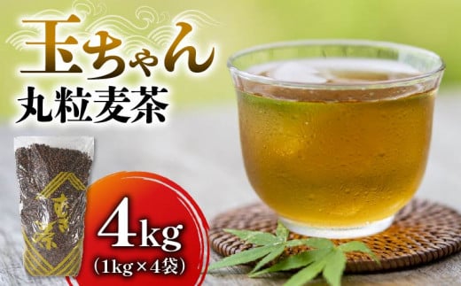 麦茶 玉ちゃん 丸粒麦茶 1kg 入れ 4袋 飲料 大容量 むぎ茶 煮出し 八木音 静岡県 静岡県 藤枝市 1451449 - 静岡県藤枝市