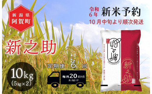 《令和6年産米》【定期便】6回　津川産　新之助　10kg（5kg×2袋） 1429047 - 新潟県阿賀町