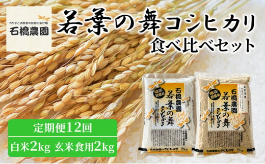 米 若葉の舞 コシヒカリ 白米2Kg玄米食用2Kg 食べ比べセット 定期便12回 こしひかり お米 白米 玄米 セット 食べ比べ 定期便 精米 千葉 千葉県 低温保存 [№5346-0825] 1430343 - 千葉県千葉市