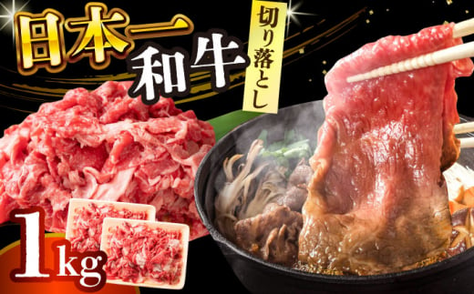 【A4～A5】長崎和牛切り落とし　1kg(500g×2p）【株式会社 MEAT PLUS】 [DBS006] 1429824 - 長崎県小値賀町