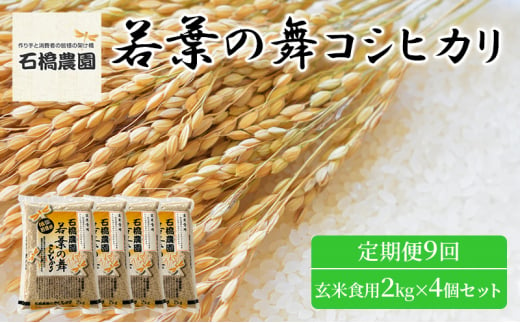 米 若葉の舞 コシヒカリ 玄米食用2Kg×4個セット 定期便9回 こしひかり セット お米 玄米 千葉 千葉県 低温保存 [№5346-0907] 1430422 - 千葉県千葉市