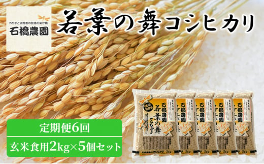 米 若葉の舞 コシヒカリ 玄米食用2Kg×5個セット 定期便6回 こしひかり セット 定期便 お米 玄米 千葉 千葉県 低温保存 [№5346-0867] 1430385 - 千葉県千葉市