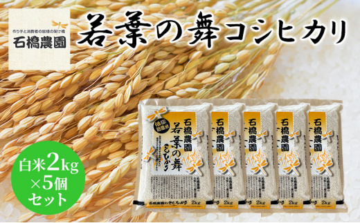 米 若葉の舞 コシヒカリ 白米2Kg×5個セット こしひかり セット お米 白米 精米 千葉 千葉県 低温保存 [№5346-0832] 1430350 - 千葉県千葉市