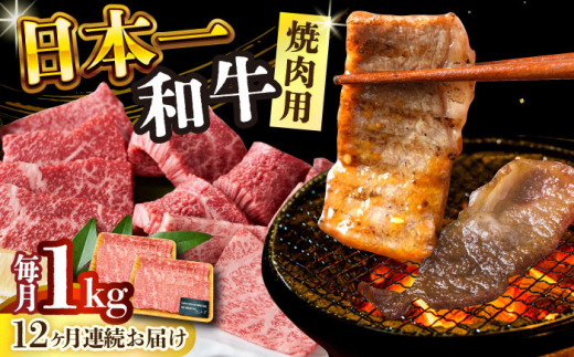 【全12回定期便】【A4～A5】長崎和牛焼肉用　1kg（500g×2p）【株式会社 MEAT PLUS】 [DBS040] 1429834 - 長崎県小値賀町