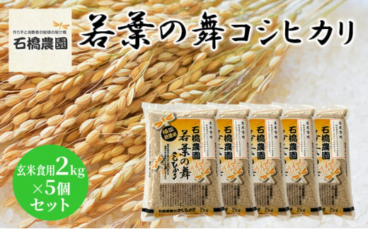 米 若葉の舞 コシヒカリ 玄米食用2Kg×5個セット こしひかり セット お米 玄米 千葉 千葉県 低温保存 [№5346-0839] 1430357 - 千葉県千葉市