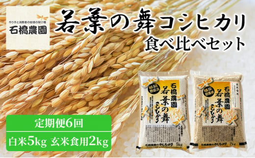 米 若葉の舞 コシヒカリ 白米5Kg玄米食用2Kg 食べ比べセット 定期便6回 こしひかり お米 白米 玄米 セット 食べ比べ 定期便 精米 千葉 千葉県 低温保存 [№5346-0806] 1430324 - 千葉県千葉市