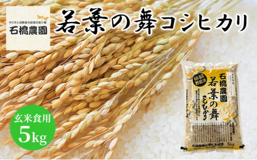 米 若葉の舞 コシヒカリ 玄米食用5Kg こしひかり お米 玄米 千葉 千葉県 低温保存 [№5346-0781] 1430300 - 千葉県千葉市