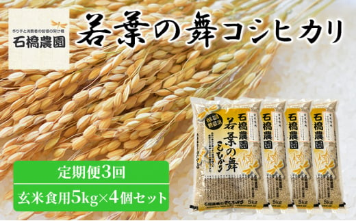 米 若葉の舞 コシヒカリ 玄米食用5Kg×4個セット 定期便3回 こしひかり セット 定期便 お米 玄米 千葉 千葉県 低温保存 [№5346-0849] 1430367 - 千葉県千葉市