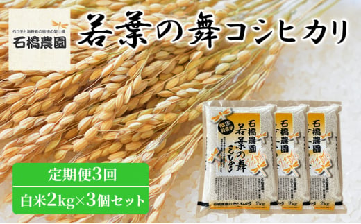 米 若葉の舞 コシヒカリ 白米2Kg×3個セット 定期便3回 こしひかり セット 定期便 お米 白米 精米 千葉 千葉県 低温保存 [№5346-0844] 1430362 - 千葉県千葉市