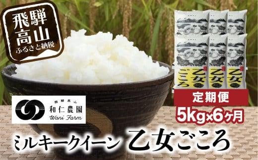 【定期便 6カ月】（全6回）令和6年度産 新米 ミルキークイーン「乙女ごころ」5kg | 米 白米 飛騨 お米 飛騨高山 和仁農園 MF100 586356 - 岐阜県高山市