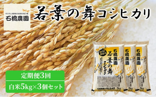 米 若葉の舞 コシヒカリ 白米5Kg×3個セット 定期便3回 こしひかり セット 定期便 お米 白米 精米 千葉 千葉県 低温保存 [№5346-0841] 1430359 - 千葉県千葉市