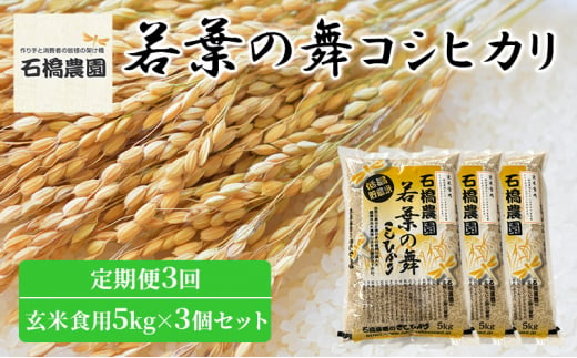 米 若葉の舞 コシヒカリ 玄米食用5Kg×3個セット 定期便3回 こしひかり セット 定期便 お米 玄米 千葉 千葉県 低温保存 [№5346-0848] 1430366 - 千葉県千葉市