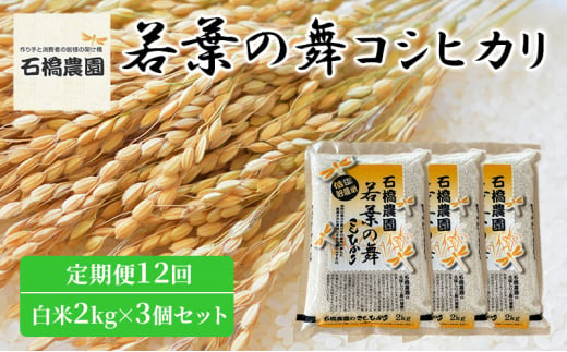 米 若葉の舞 コシヒカリ 白米2Kg×3個セット 定期便12回 こしひかり セット 定期便 お米 白米 精米 千葉 千葉県 低温保存 [№5346-0879] 1430397 - 千葉県千葉市