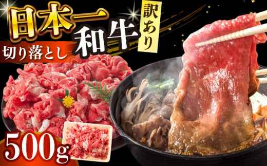 【訳あり】【A4～A5】長崎和牛焼肉切り落とし(肩ロース・バラ）　500g【株式会社 MEAT PLUS】 [DBS003] 1429821 - 長崎県小値賀町