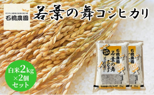 米 若葉の舞 コシヒカリ 白米2Kg×2個セット こしひかり セット お米 白米 精米 千葉 千葉県 低温保存 [№5346-0829] 1430347 - 千葉県千葉市