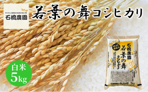 米 若葉の舞 コシヒカリ 白米5Kg こしひかり お米 白米 精米 千葉 千葉県 低温保存 [№5346-0780] 1430299 - 千葉県千葉市