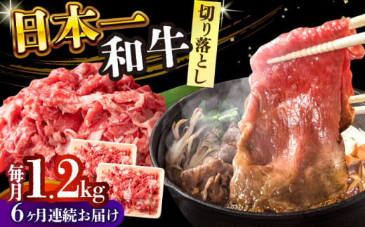 【全6回定期便】【A4～A5】長崎和牛切り落とし　1.2kg(600g×2p）【株式会社 MEAT PLUS】 [DBS059] 1429853 - 長崎県小値賀町