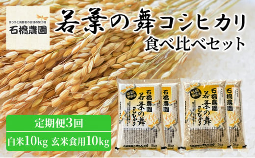 米 若葉の舞 コシヒカリ 白米10Kg玄米食用10Kg 食べ比べセット 定期便3回 こしひかり お米 白米 玄米 セット 食べ比べ 定期便 精米 千葉 千葉県 低温保存 [№5346-0793] 1430311 - 千葉県千葉市