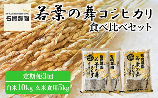 米 若葉の舞 コシヒカリ 白米10Kg玄米食用5Kg 食べ比べセット 定期便3回 こしひかり お米 白米 玄米 セット 食べ比べ 定期便 精米 千葉 千葉県 低温保存 [№5346-0794] 1430312 - 千葉県千葉市