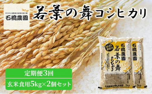 米 若葉の舞 コシヒカリ 玄米食用5Kg×2個セット 定期便3回 こしひかり セット 定期便 お米 玄米 千葉 千葉県 低温保存 [№5346-0847] 1430365 - 千葉県千葉市