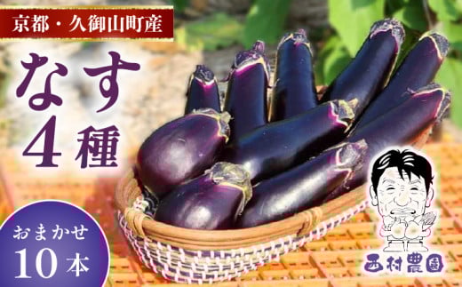 季節限定 京都 なす 4種類 おまかせ 10本 （水なす フルーツなす 千両なす ふわとろ長なす）10000円 1万円 ナス 京都府 夏野菜 天ぷら 揚げ物 マーボー バーベキュー 焼き肉 夏 久御山町 レシピ 人気 野菜 